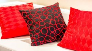 red cushions on sofa
